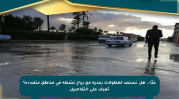 غدًا.. هل تستعد لهطولات رعدية مع رياح نشطة في مناطق متعددة؟ تعرف على التفاصيل